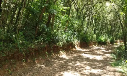 Chácara / sítio à venda no Rio Verde de Cima, Araucária  por R$ 550.000