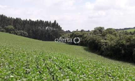 Chácara / sítio à venda em Campestre, Contenda  por R$ 530.000