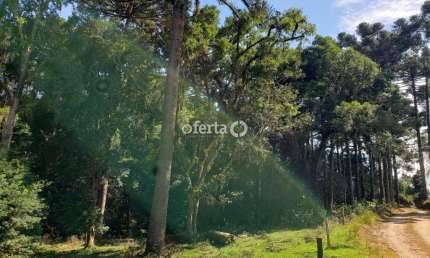 Chácara / sítio à venda em Taquarova, Araucária  por R$ 600.000