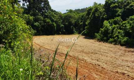 Chácara / sítio à venda no Rio Verde de Cima, Araucária  por R$ 500.000