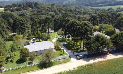 Chácara / sítio com 9 quartos à venda em Mato Branco, Contenda , 690 m2 por R$ 3.800.000