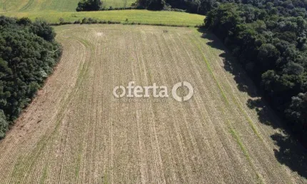 Chácara / sítio à venda em Campina das Pedras, Araucária  por R$ 550.000