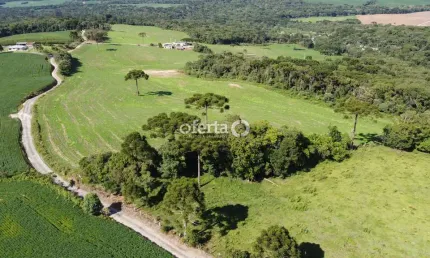 Fazenda à venda no Faxinal dos Castilhos, Lapa , 250 m2 por R$ 6.000.000