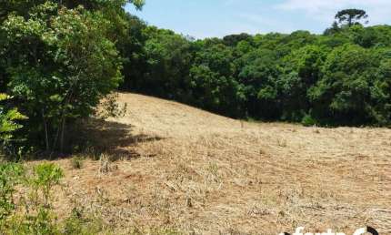 Chácara / sítio à venda no Rio Verde de Cima, Araucária  por R$ 500.000