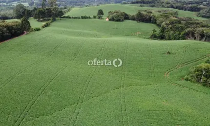Fazenda à venda no Bugre, Balsa Nova , 100 m2 por R$ 13.000.000