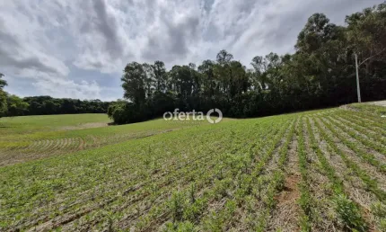 Chácara / sítio à venda na campina das palmeiras, araucária  por r$ 1.300.000
