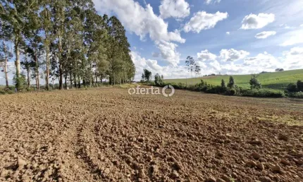 Chácara / sítio à venda na Zona Rural, Contenda , 21917 m2 por R$ 399.000
