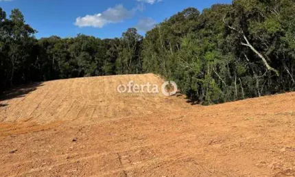 Chácara / sítio à venda no Rio Verde de Cima, Araucária  por R$ 530.000