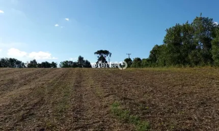 Terreno à venda em mato branco, contenda , 5420 m2 por r$ 360.000