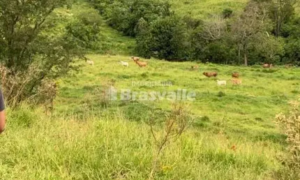 Chácara / sítio à venda no Centro, Santa Maria do Oeste 