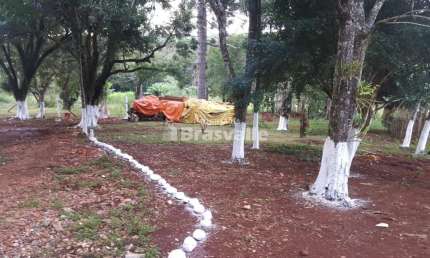 Chácara a venda  em Cascavel na cominidade Colonea Barreiros