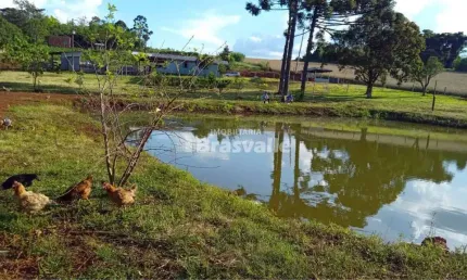 Chácara / sítio à venda no São Salvador, Cascavel 