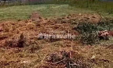 Terreno à venda no Recanto Tropical, Cascavel 