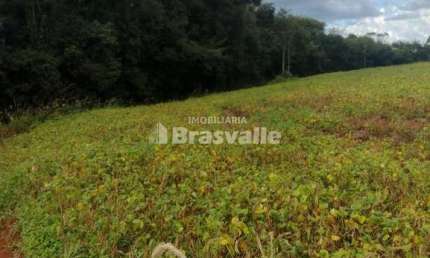 Chácara / sítio à venda no Santa Felicidade, Cascavel 
