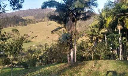 Lindo sítio em área rural de Camboriú no Braço, escriturado com 31.990,00 M² .