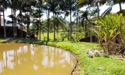 Sítio à Venda em Tijucas/SC. Recanto maravilhoso localizado no bairro Oliveira e