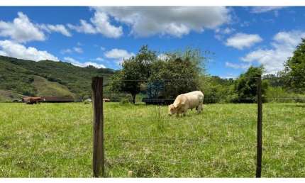 EXCELENTE FAZENDA A VENDA EM TIJUCAS GRANDE FLORIANÓPOLIS
