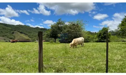 EXCELENTE FAZENDA A VENDA EM TIJUCAS GRANDE FLORIANÓPOLIS