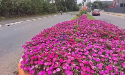 Terreno à venda na Rua Pedro Honorato Amorim, Centro, Camboriú, 18000 m2 por R$ 4.725.000