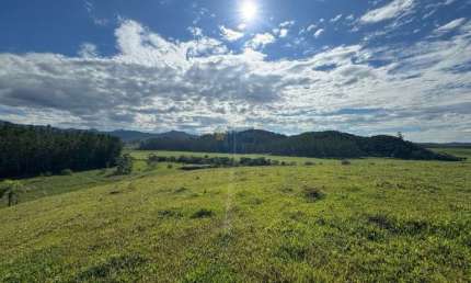 Oportunidade área Rural de 24 hectares em Canelinha próxima ao centro e a Rod SC 410