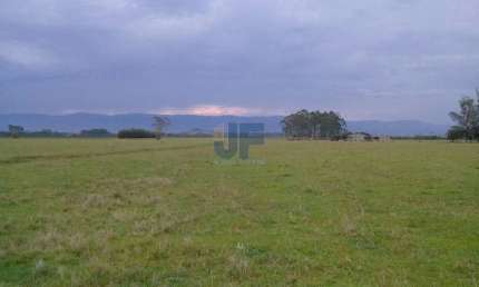 LINDA FAZENDA PECUARIA, LAVOURA ARROZ, SOJA A 15 KM DE TORRES RS