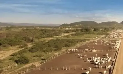 Fazenda com 60.000 hectares à venda no Muqúen do São Francisco - BA