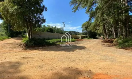 Chácara à Venda em Colônia Dona Luiza, Ponta Grossa - PR
