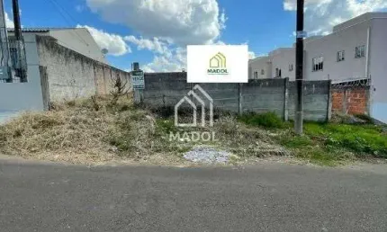 Terreno à venda, 100 m² por r$ 300.000 - orfãs - ponta grossa/pr