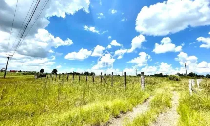 Terreno à venda, 3650 m² por R$ 2.300.000,00 - Colônia - Carambei/PR