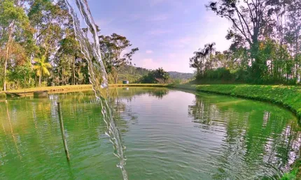 Chácara / sítio com 2 quartos à venda na vila itoupava, blumenau , 100 m2 por r$ 750.000