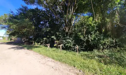 Terreno à venda em mariscal, bombinhas , 325 m2 por r$ 420.000