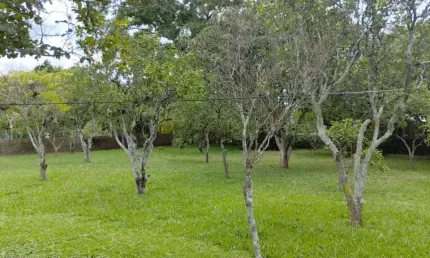 Terreno à venda na nove, 120, Vila Pedras Brancas, Guaíba por R$ 150.000