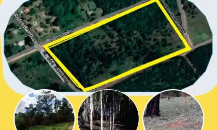 Terreno à venda na dos abacateiros, 121212, Parque Eldorado, Eldorado do Sul por R$ 70.000