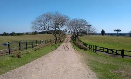Haras à venda, Miringuava, São José dos Pinhais, PR