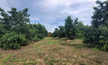 Área à venda, 45000 m² por r$ 1.200.000 - área rural - monte mor/sp