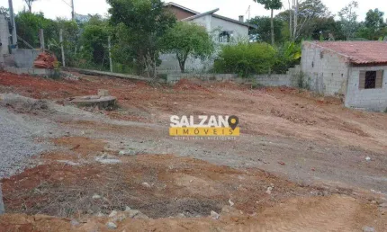 Terreno à venda, 250 m² por R$ 318.000,00 - Barreiro - Taubaté/SP