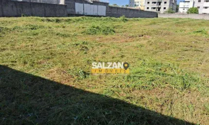 Terreno à venda, 2300 m² por R$ 2.760.000,00 - Vila São José - Taubaté/SP