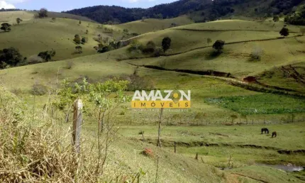 Área à venda, 350 m² por R$ 1.450.000,00 - Zona Rural - São Bento do Sapucaí/SP