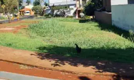 Terreno em condomínio fechado à venda no Jardim San Marco, Ribeirão Preto  por R$ 320.000