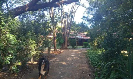 Casa em condomínio fechado com 6 quartos à venda no parque são sebastião, ribeirão preto  por r$ 700.000