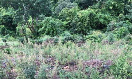 Terreno em condomínio fechado à venda em Escarpas do Lago, Capitólio  por R$ 1.100.000