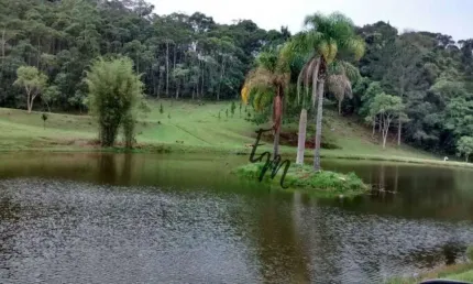 Chácara / sítio com 14 quartos à venda no Carmo Messias, Ibiúna 