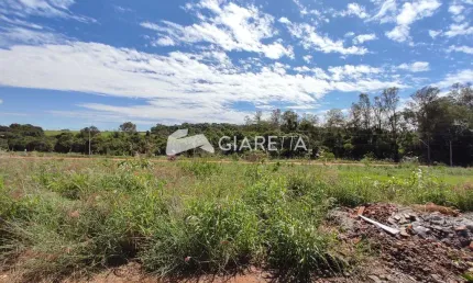 Terreno à venda, loteamento flora galante 2, jardim coopagro, toledo - pr
