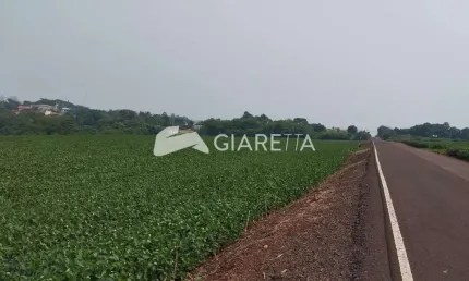 Área Rural com excelente localização à venda, DOIS IRMÃOS, TOLEDO - PR