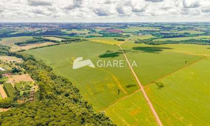 Área rural com 49.5 Alqueires localizada na LINHA MANDARINA, TOLEDO-PR