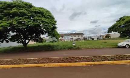 Terreno em excelente localização à venda, JARDIM GISELA, TOLEDO - PR