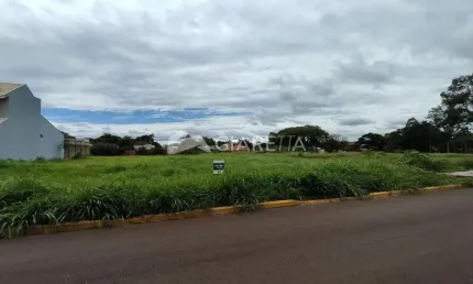 AMPLO TERRENO PARA VENDA NA VILA INDUSTRIAL, TOLEDO - PR