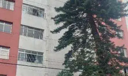 Apartamento de 60m² à venda no condomínio residencial cupecê - divisa - diadema- são paulo