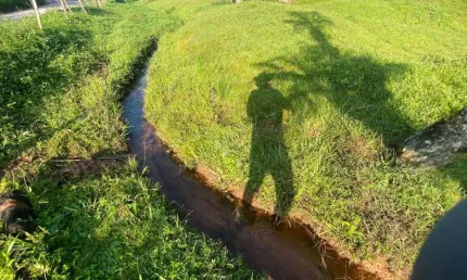 Área de terreno Venda 3.000m² na Estrada dos Borges a 230m² do Asfalto e a 2,5km da Rodovia Regis Bittencourt no Bairro Barrinha na cidade da São Lou