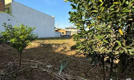 Terreno à venda na Rua Alvaro João Ferreira, 500, Guarda do Cubatão, Palhoça